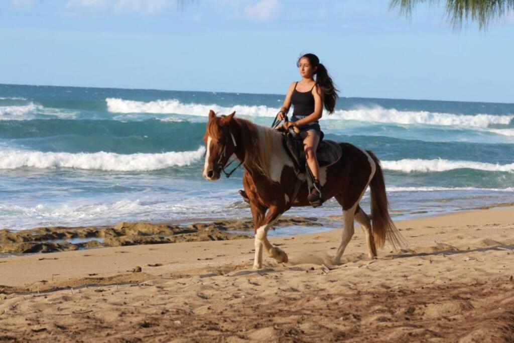 Paradise Coast Pr - Condo إيزابيلا المظهر الخارجي الصورة